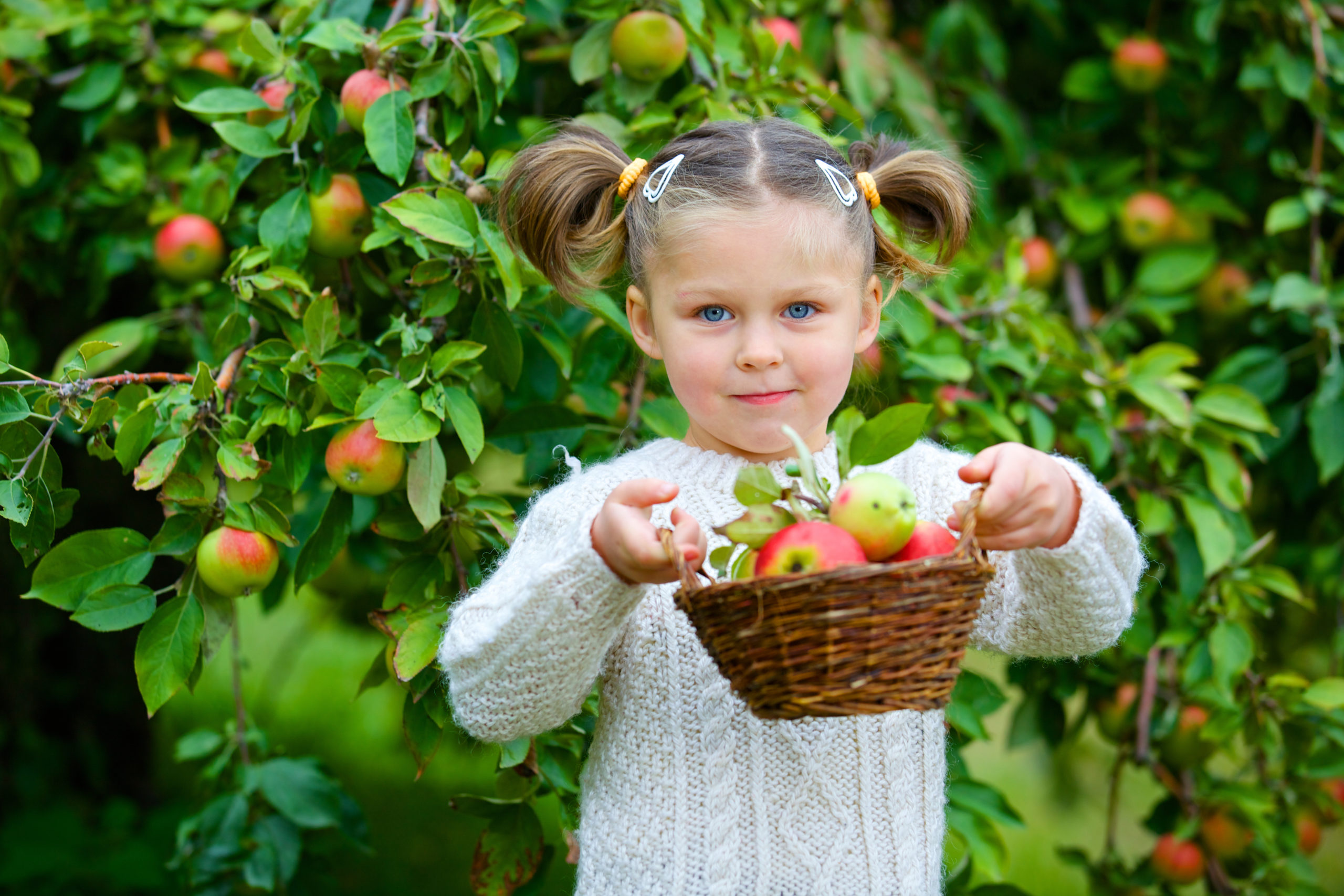 Фотосессия с яблоками в саду