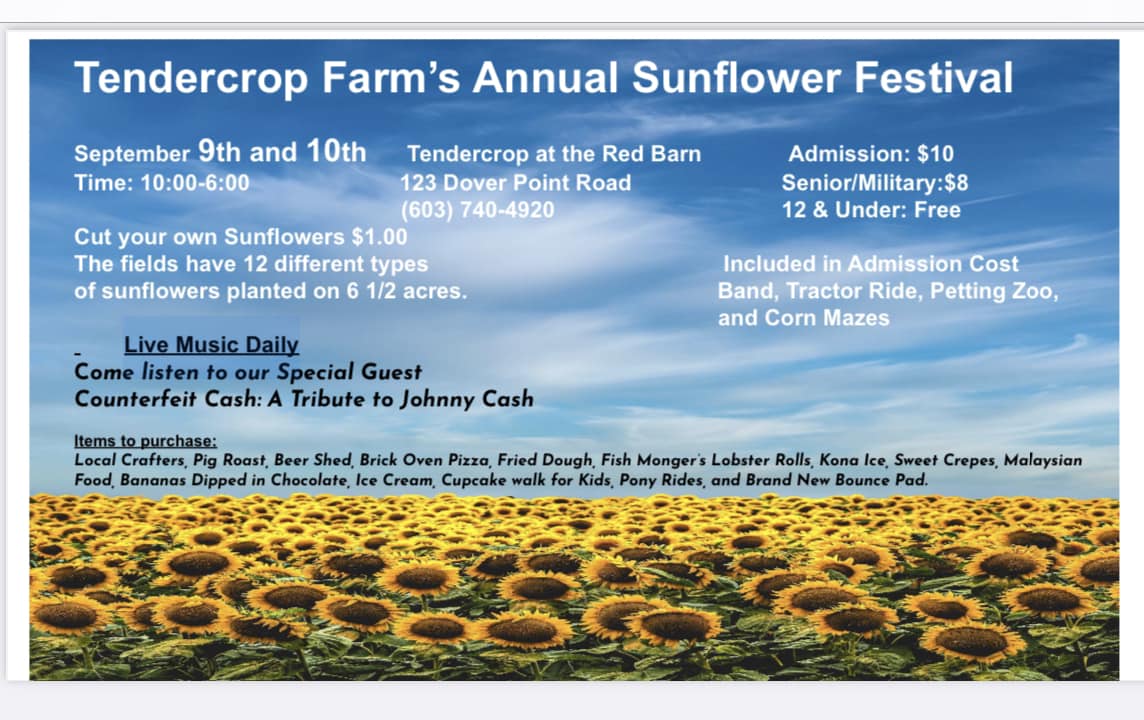 Tendercrop Farm's Annual Sunflower Festival at the Red Barn Seacoast